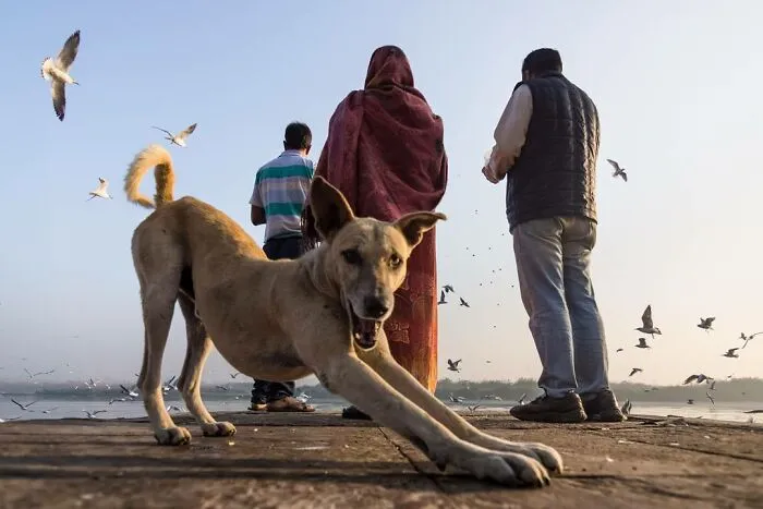 50 Photos By Navin Kumar Vatsa That Bring India’s Streets To Life
