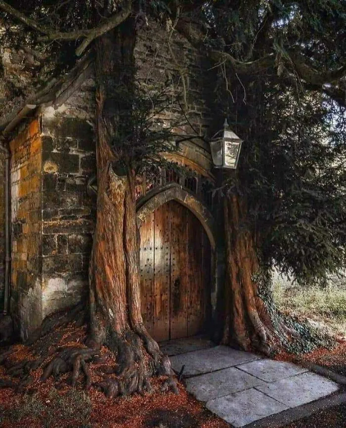 The Medieval North Door Of St Edwards Church In Stow-On-The-Wold, Flanked By 700 Year Old Yew Trees