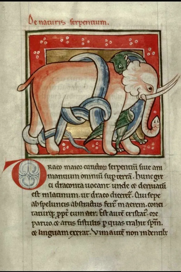 Surprisingly Accurate Elephant From The Workshop Bestriary From 1185