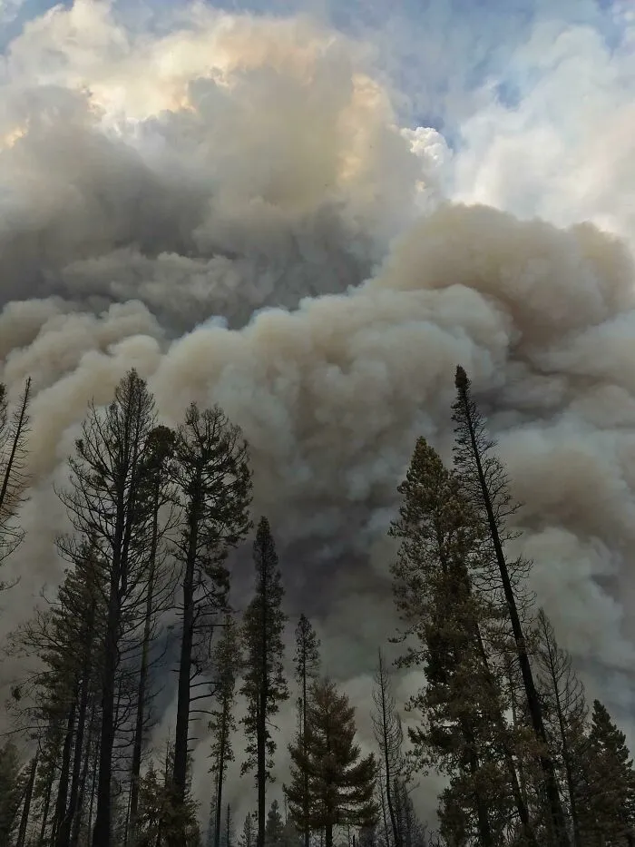 The Smoke Column From A Wildland Fire I Worked
