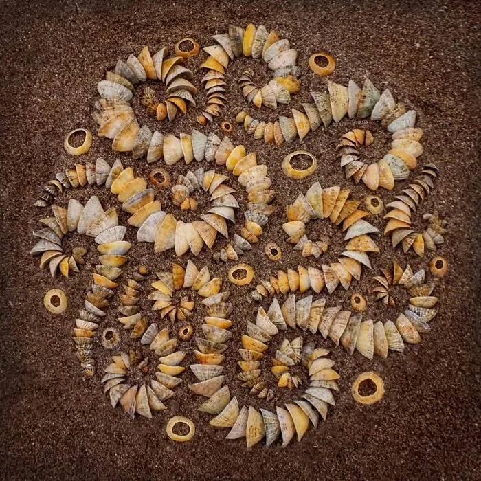 47 Patience-Requiring Land Art Pieces Made With Natural Materials Created By This Artist (New Pics)