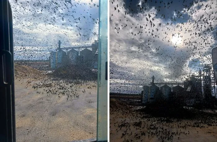 I Work In A Stephen King Novel