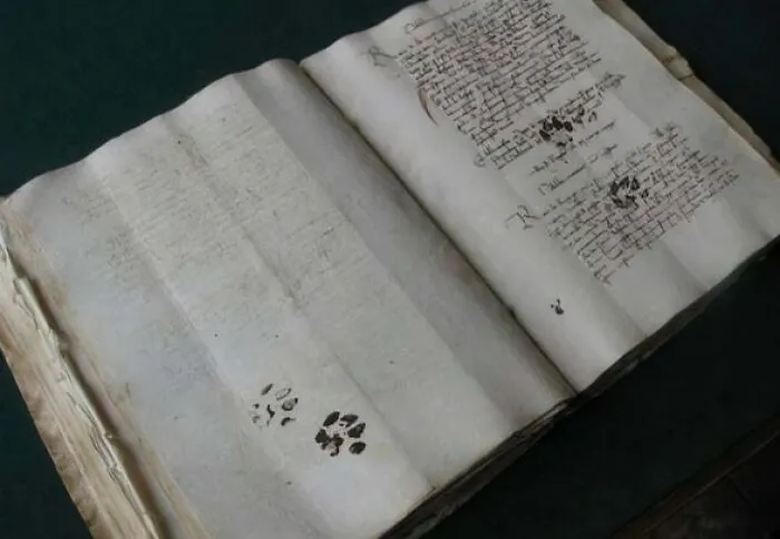 Huellas de pata de gato medieval en un manuscrito (c. 1100). Un gatito de hace 900 años se metió en problemas.
