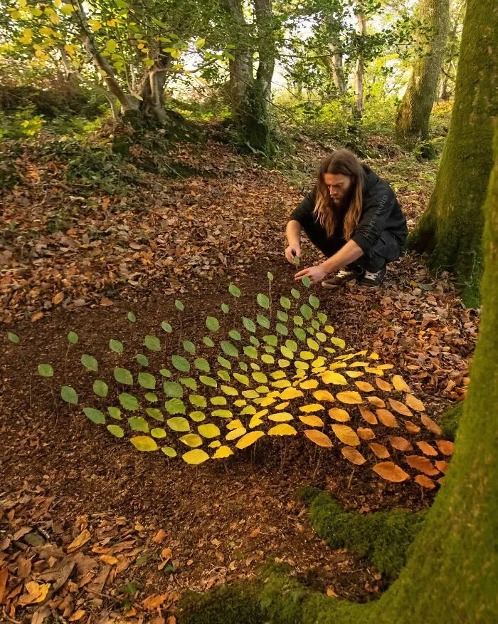 47 Patience-Requiring Land Art Pieces Made With Natural Materials Created By This Artist (New Pics)