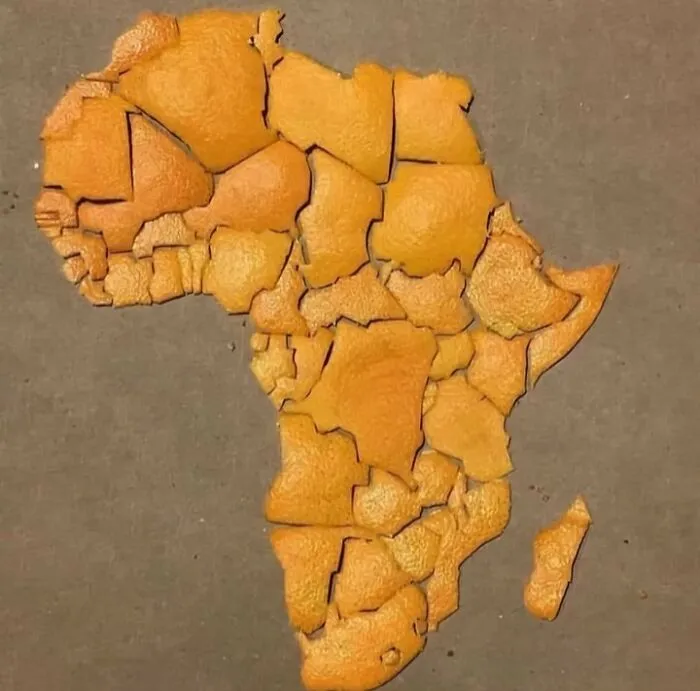 Map Of Africa Made From Orange Peel
