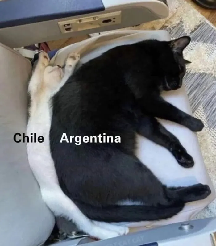 The Purr-Fect Map
