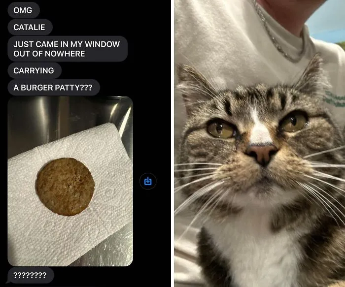 Ms Catalie Purrtman Deserves To Be Here