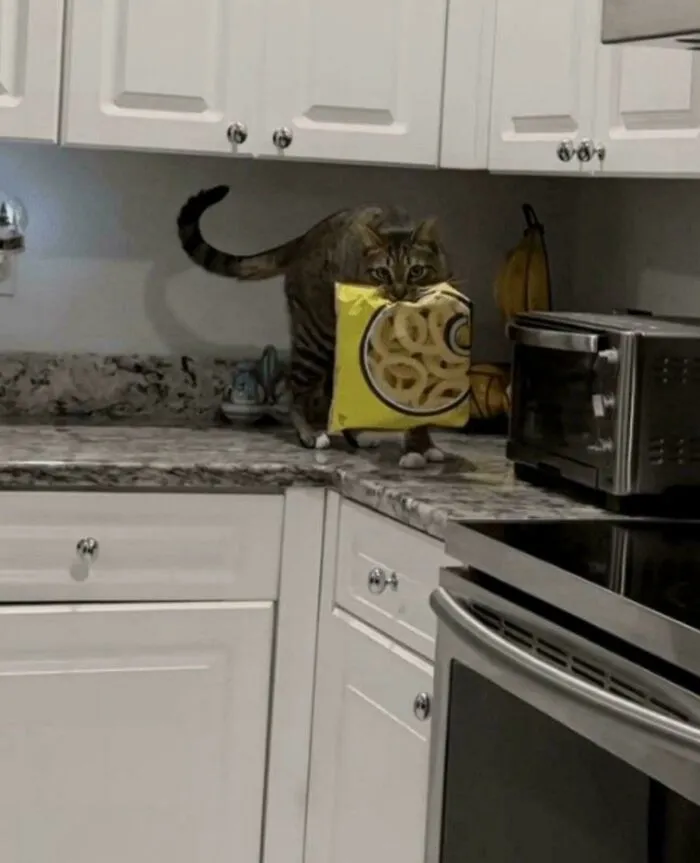 The Funyun Stealer