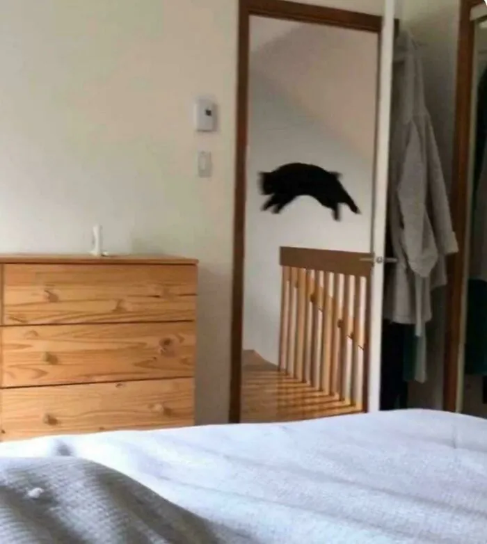 Hello 911? There’s An Intruder In The House!