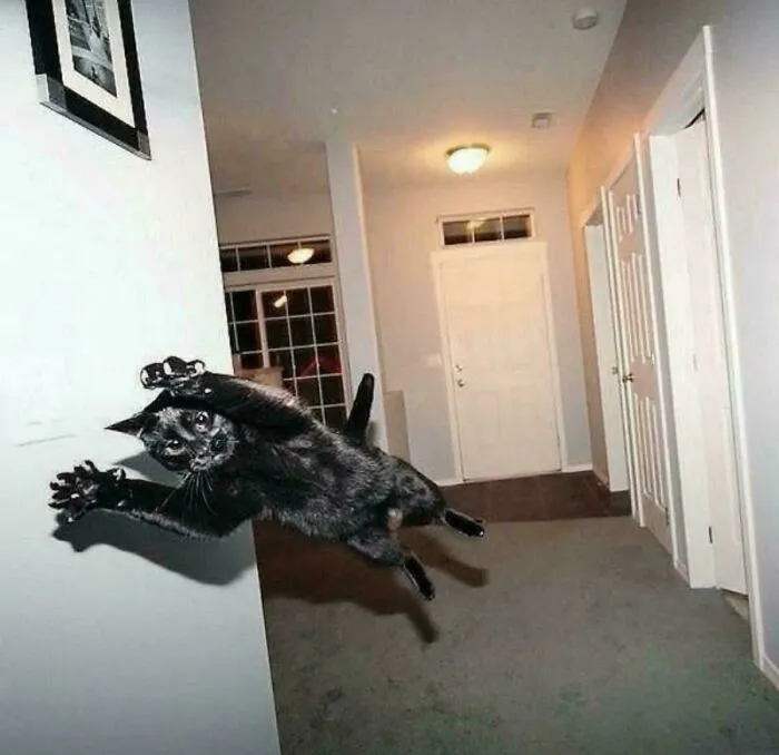 Attack!