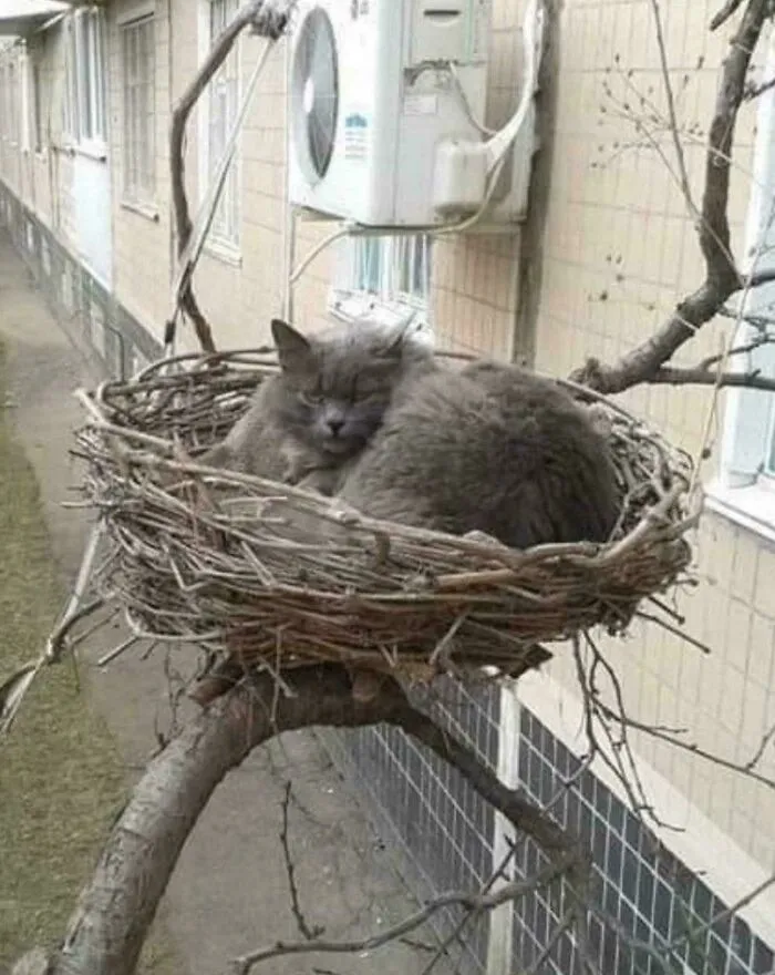 My House Now