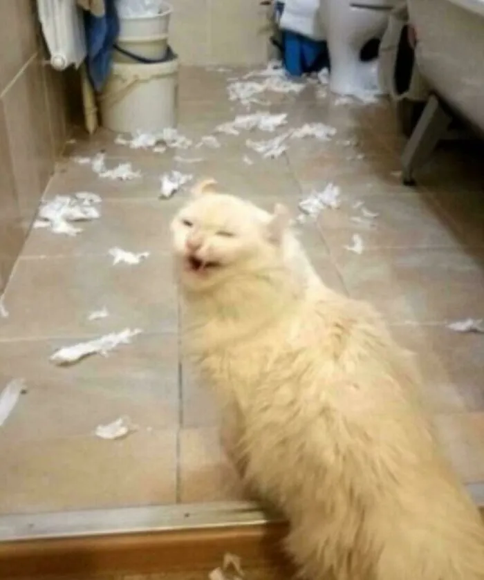 Ah Haha You’re Too Late!