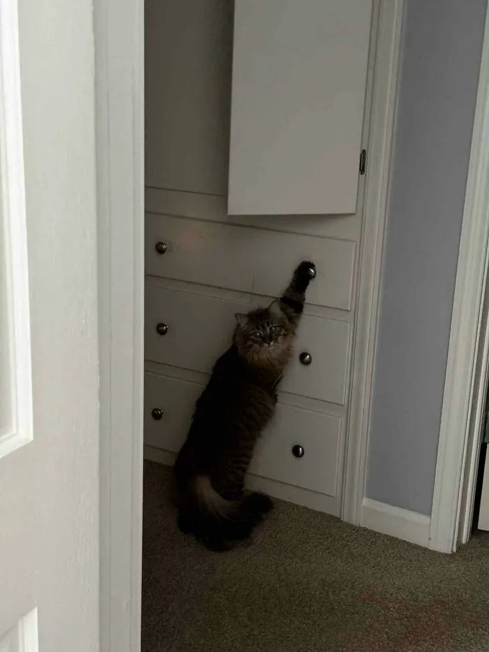 Caught In The Act!