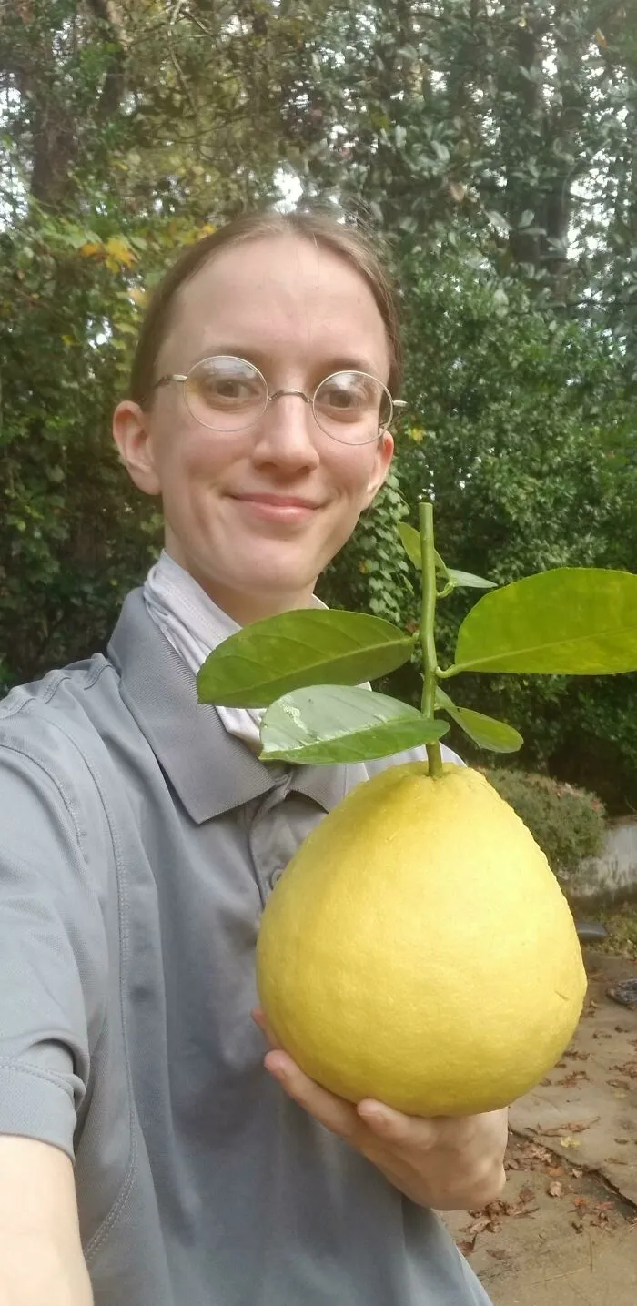 It's Called A Ponderosa Lemon