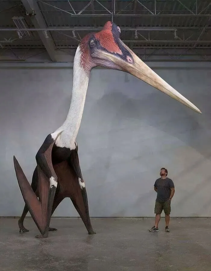 El Quetzalcoatlus Northropi, ¡el animal volador más grande conocido que jamás haya existido!