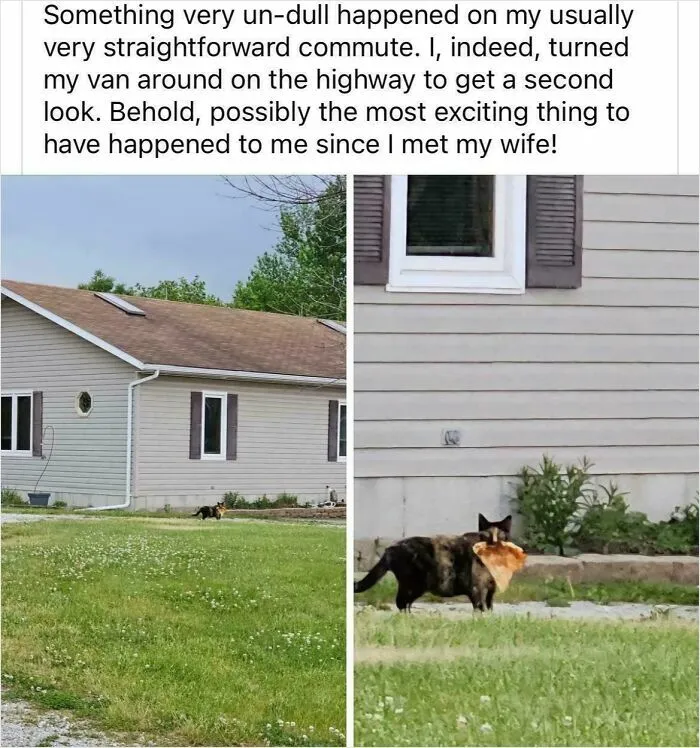 Robbery In Progress, Send All Available Units