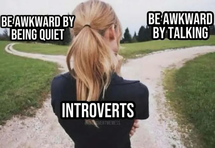 50 Funniest Pics From The "Introverts Are Awesome" Meme Page That Hit Harder Than Alone Time (New Pics)