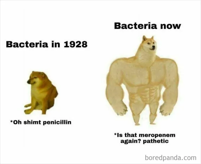 50 Medical Memes That Prove Humor Really Is The Best Medicine