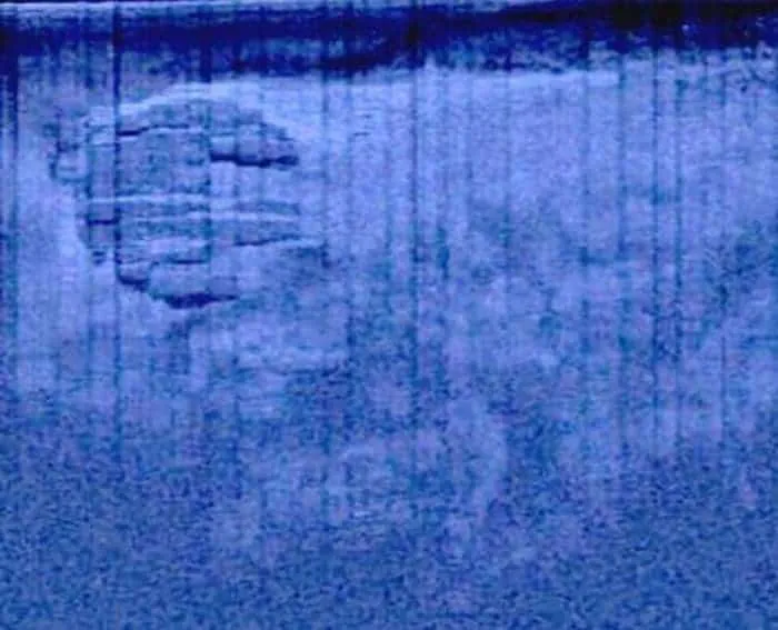 20 Fotos reales que permanecen sin explicación hasta el día de hoy