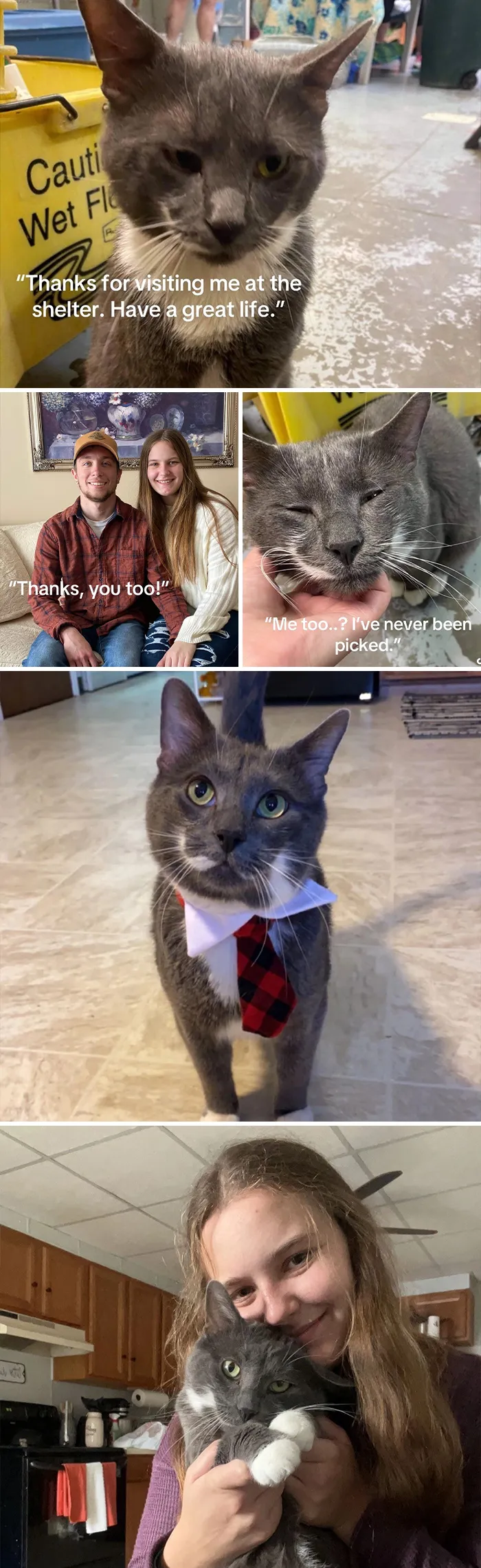 This New Trend Has People Sharing Their Tearjerking Pet Adoption Stories And These 50 Made Us Cry