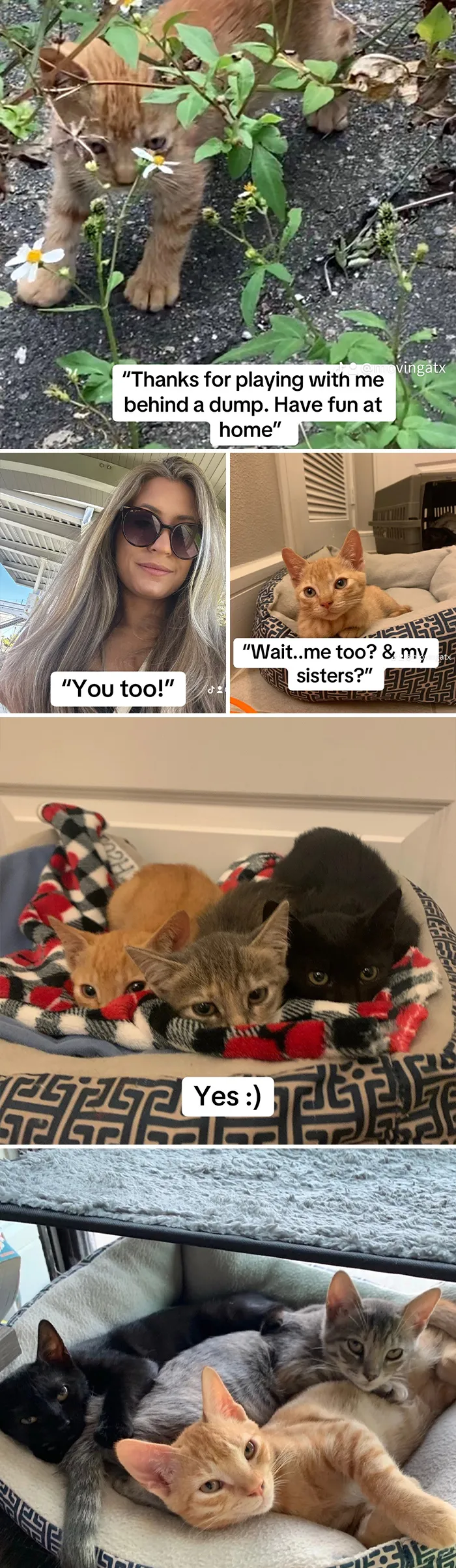 This New Trend Has People Sharing Their Tearjerking Pet Adoption Stories And These 50 Made Us Cry