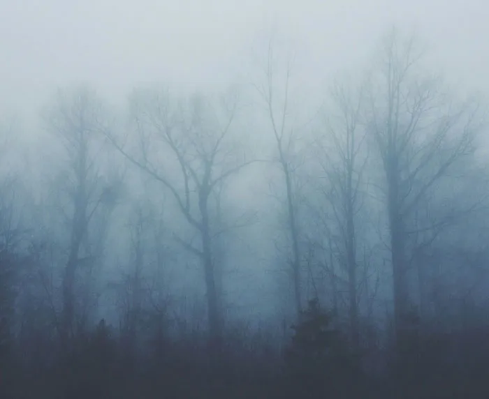 42 People Shared Creepy Things That Happened While They Were Home Alone
