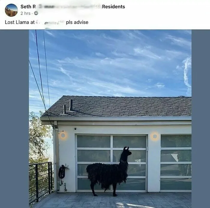 “You’re A Heavier Girl, I Get It”: 42 Unbearable Neighbors These People Have To Deal With (New Pics)