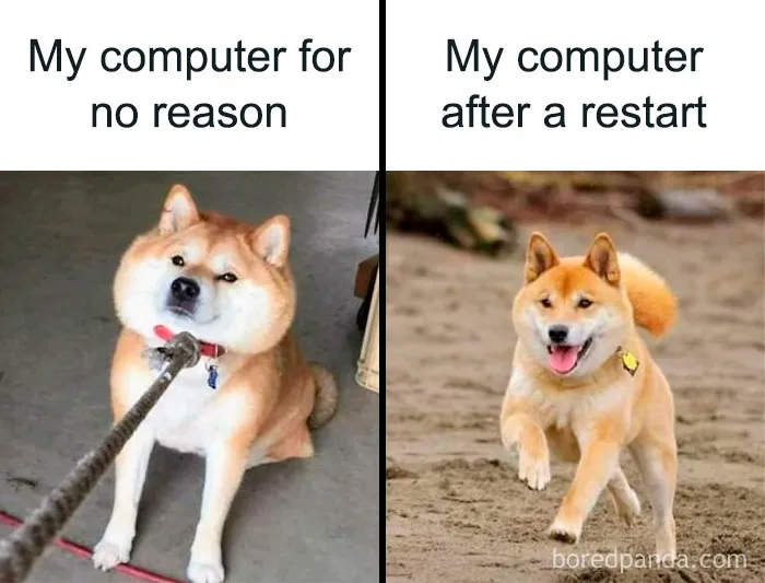 50 Funny Memes Programmers Created When They Weren’t Coding
