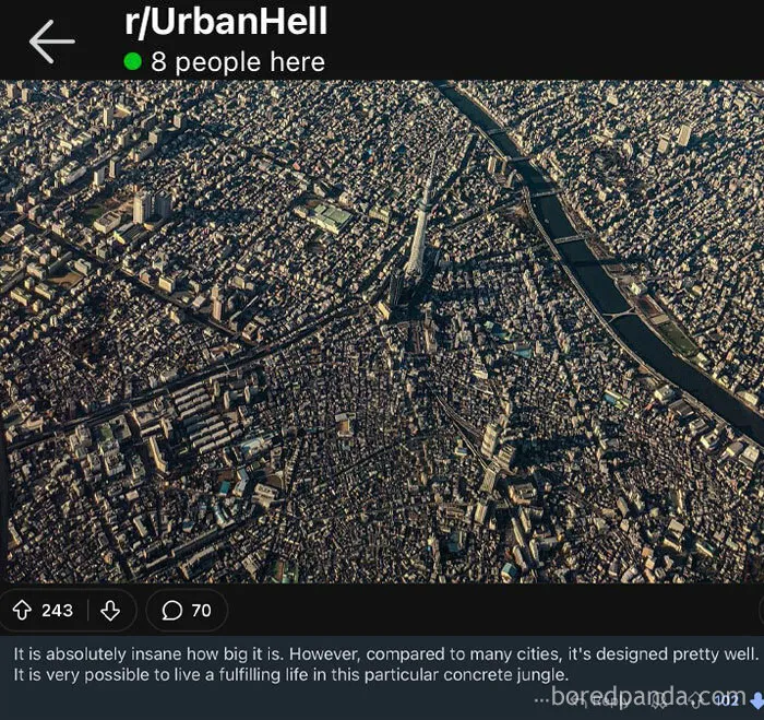 Concrete Jungle:😡🤬 “Wait Guys No It’s Japan”: 😍😊