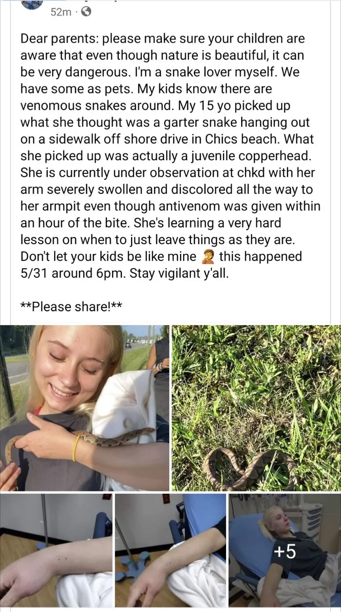 Cuddling A Copperhead, What Could Go Wrong? Stolen From A Facebook Group