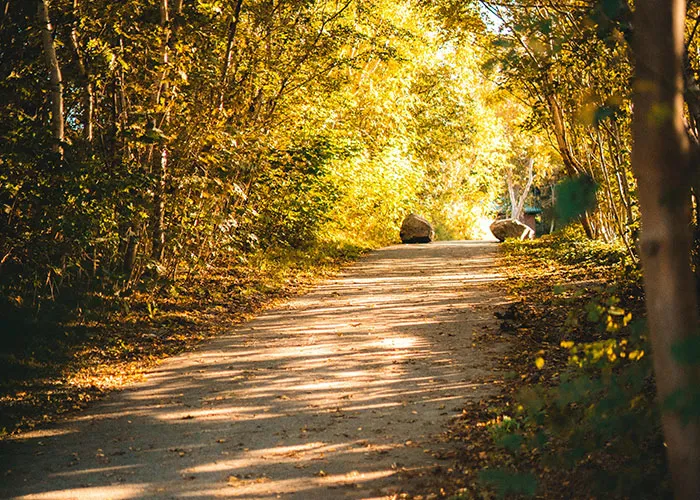 47 Unexpected Treasures People Discovered After Moving Into A New Home