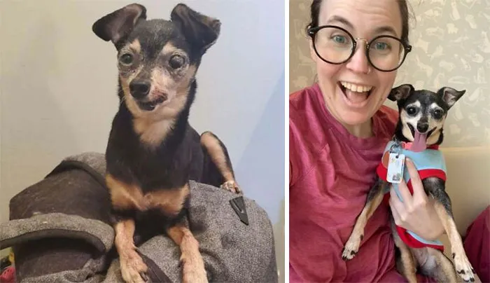 Ruth! Given Six Months To Live When I Adopted Her... We're Now At 2.5yrs Together :)