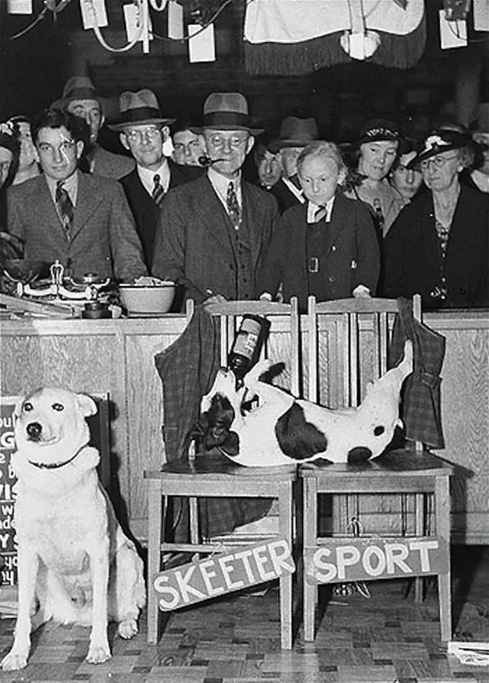 Vintage black and white photo of a dog balancing a bottle, surrounded by people with strange and unexplained histories.
