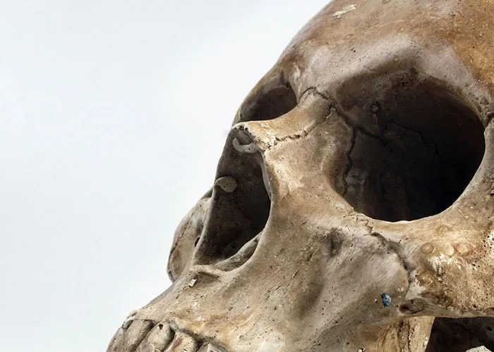 “Fatal Familial Insomnia”: 50 Creepy True Stories That Might Give You Nightmares (Trigger Warning)
