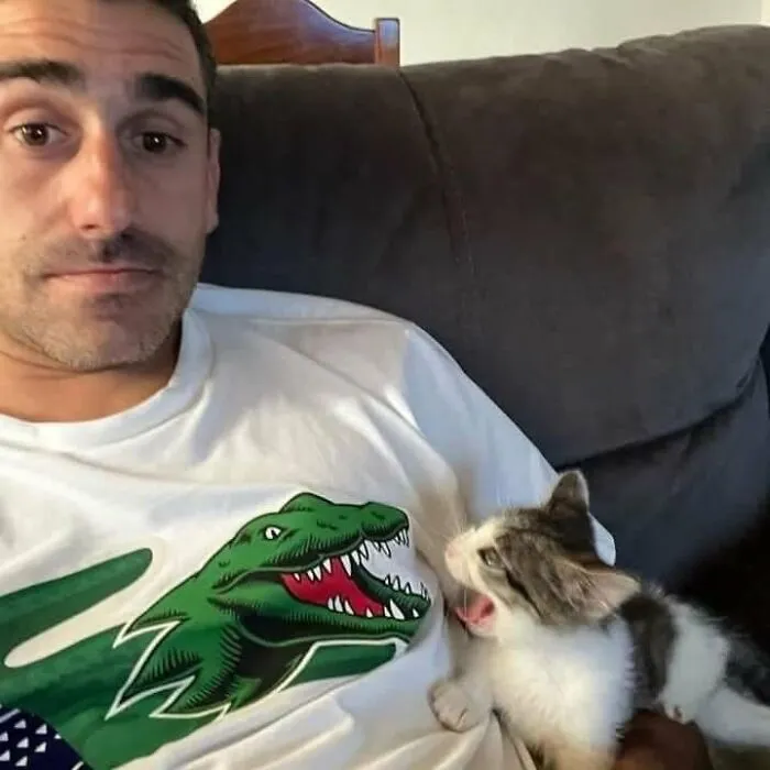 34 Gatos con «auras poderosas» retratados por sus dueños