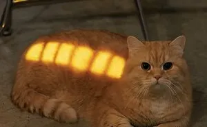 "Cats With Pawerful Aura": 50 Hilarious Cats To Boost Your Aura Points