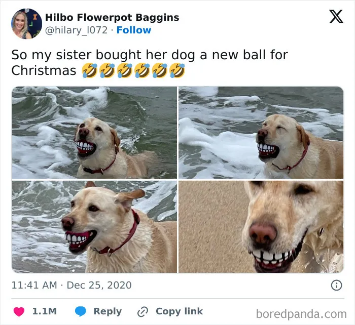 I Need To Put An Order In