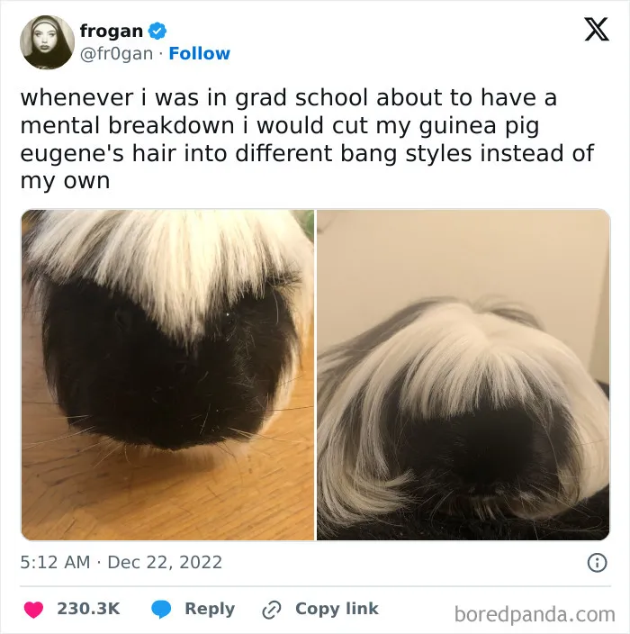 Students And Young Adults Are Living An Interesting Life As Seen In These 50 Memes (New Pics)