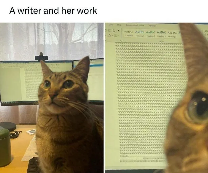 50 Pics Of ‘Cats With Jobs’ That Prove There Isn’t Anything Felines Can’t Do (New Pics)