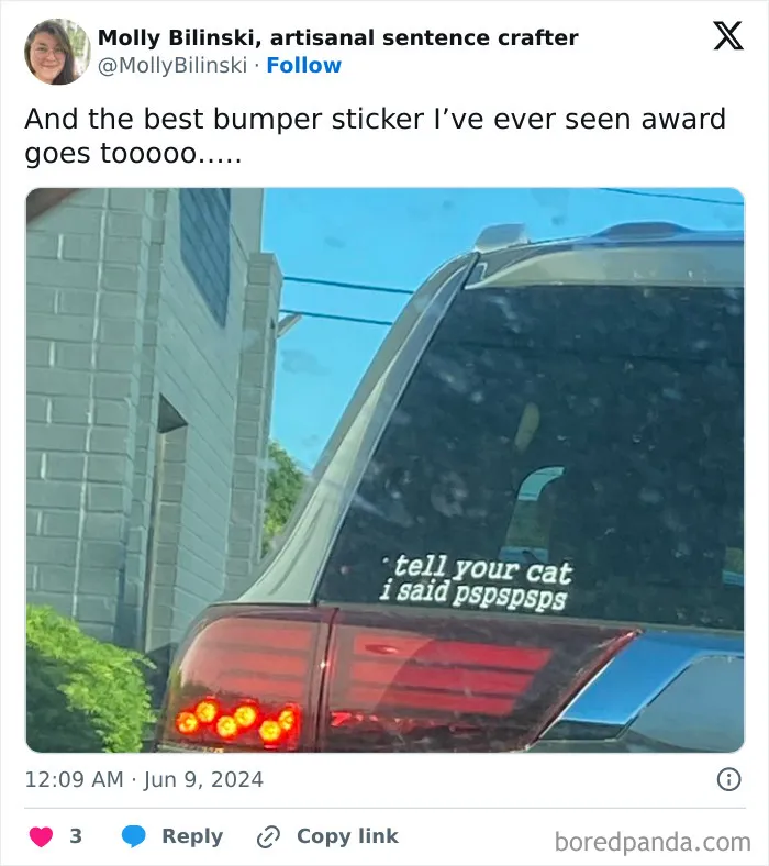 For Those Who Speak Cat