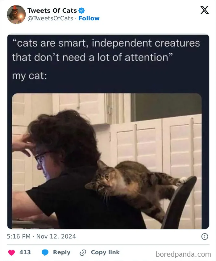 50 Hilarious Cat Memes And Pics That Prove They’re The Best Antidote To Stress