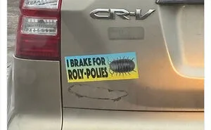 50 Clever And Hilarious Bumper Stickers People Snapped On The Road