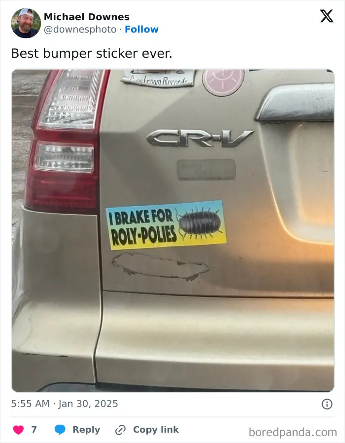 Be Kind. Brake For Bugs