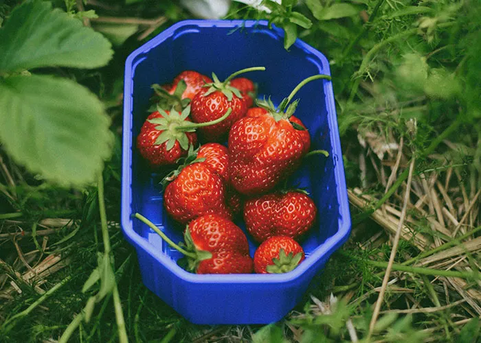 47 Unexpected Treasures People Discovered After Moving Into A New Home
