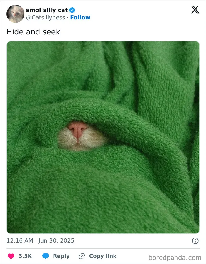 I See Nothing
