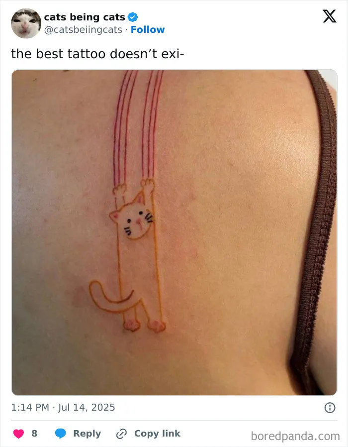 50 Humorous Posts That Prove Cats Just Need To Be Themselves In Order To Be Funny