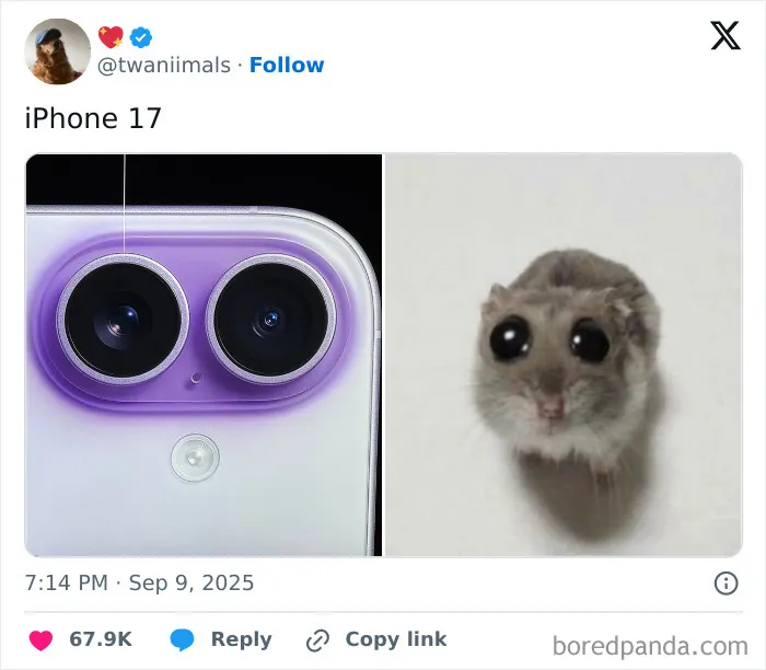 iPhone 17 vs. Mouse: Spot The Difference