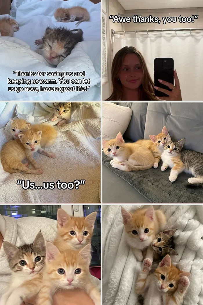Cute kittens and a smiling girl capturing moments of love and warmth in some of the best adoption pics ever.