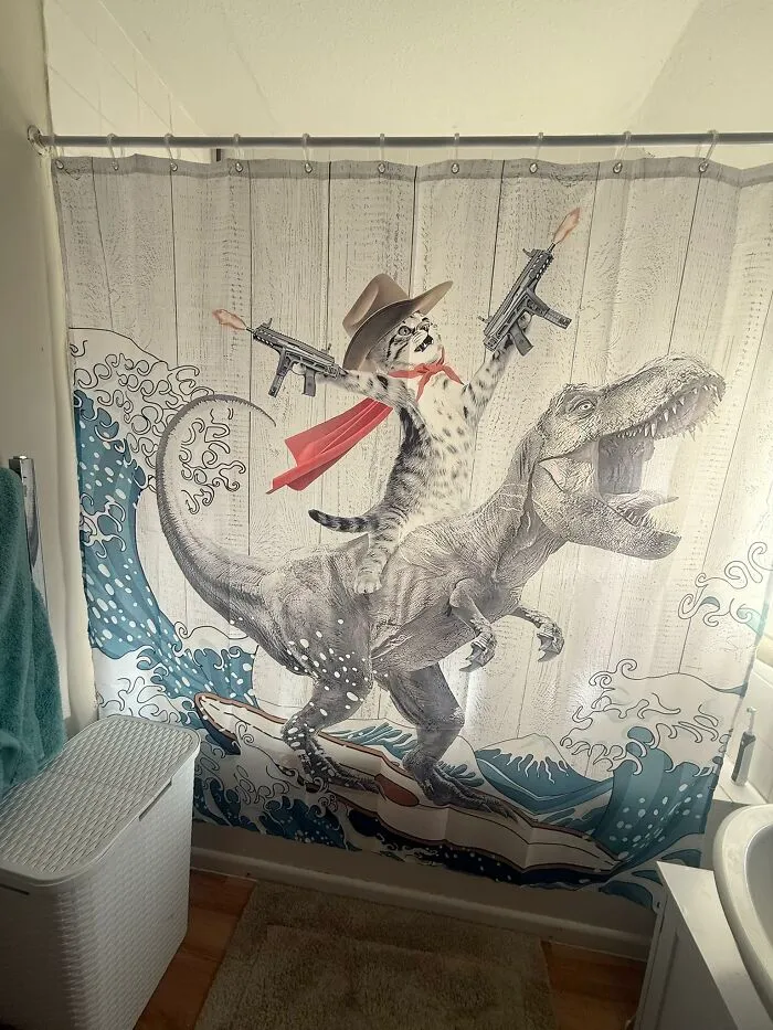 Si yo, una mujer adulta de 48 años, quiero una cortina de ducha con la imagen de un T-Rex en una tabla de surf con un felino gigante en su espalda, vestido de vaquero con una capa de Superman, armado y con un comportamiento irresponsable, entonces lo compraré