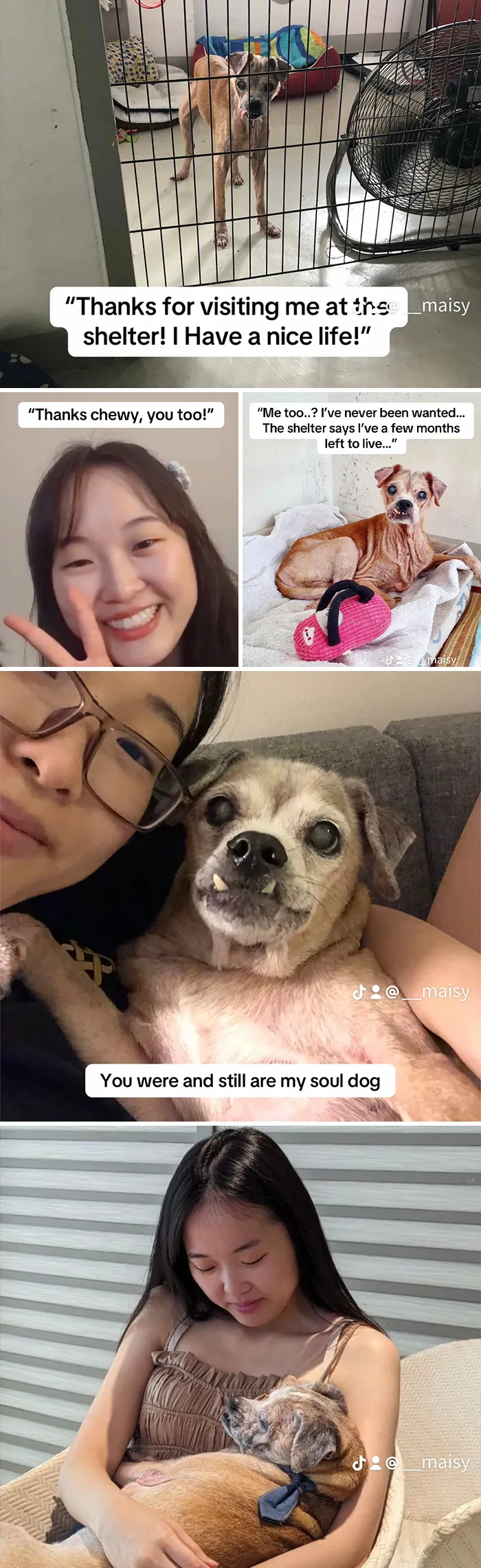 This New Trend Has People Sharing Their Tearjerking Pet Adoption Stories And These 50 Made Us Cry
